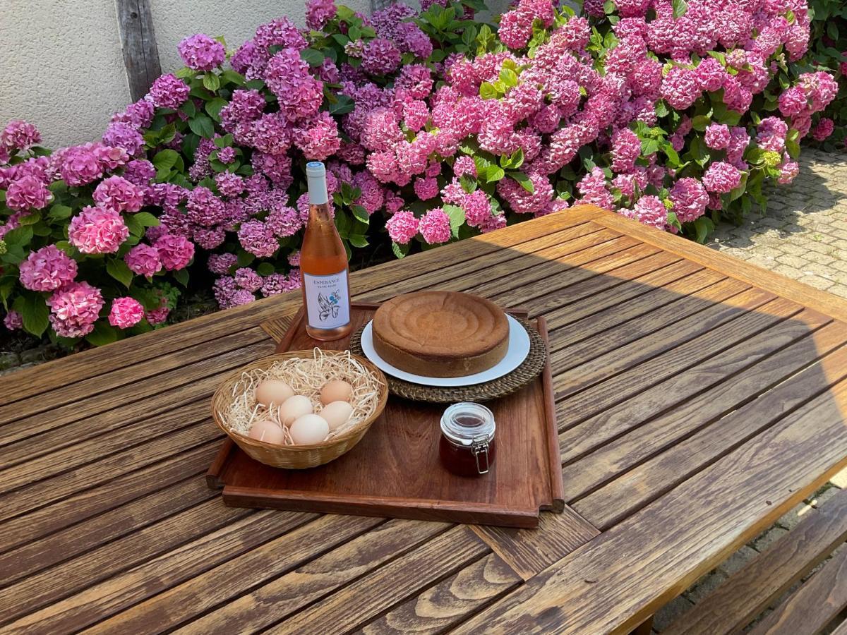 Le Clos Du Benestar Mauvezin-d'Armagnac Eksteriør billede